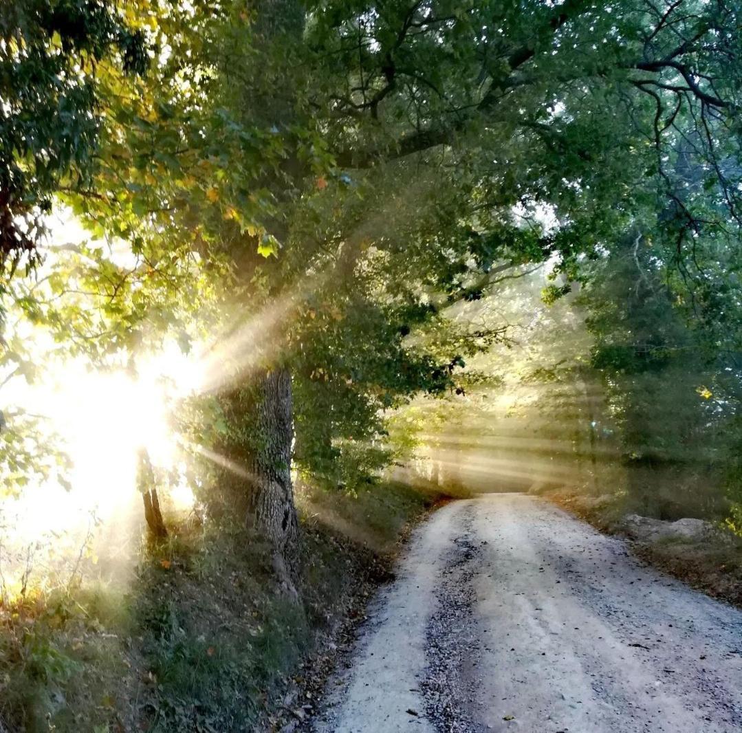 La Quercia Incantata Camerino Dış mekan fotoğraf